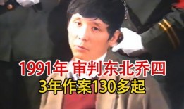 91东北直播,带你领略东北风情与文化魅力
