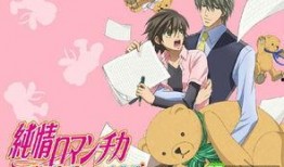 纯情罗曼史漫画,甜蜜校园恋爱记